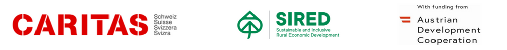 Terms of Reference (ToR) - Capacity Building and Organizational Development Consultancy